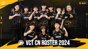Wolves Esports announces its Valorant roster