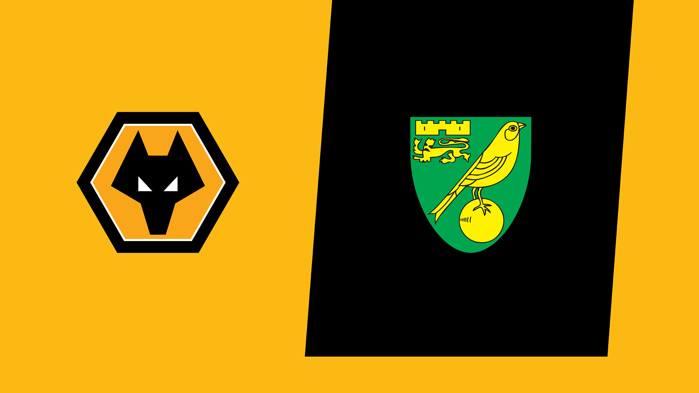 Match Preview Wolves vs Norwich Men's FirstTeam News