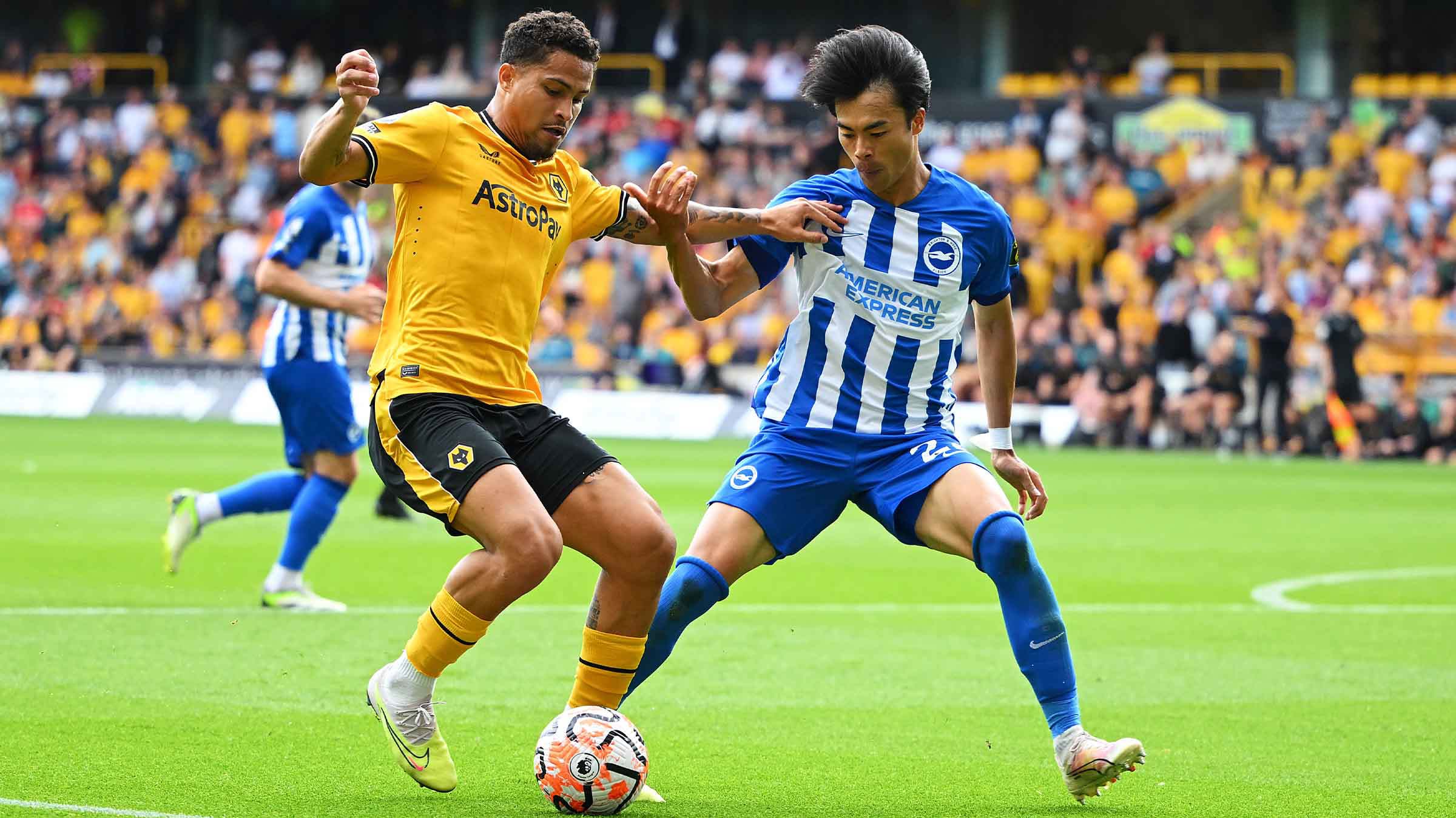 Report | Wolves 1-4 Brighton | Men's First-Team | News | Wolverhampton  Wanderers FC