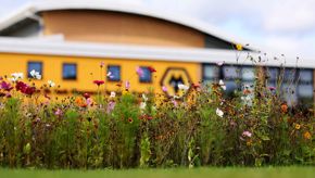 One Pack, One Planet | Sustainability improvements at Compton Park