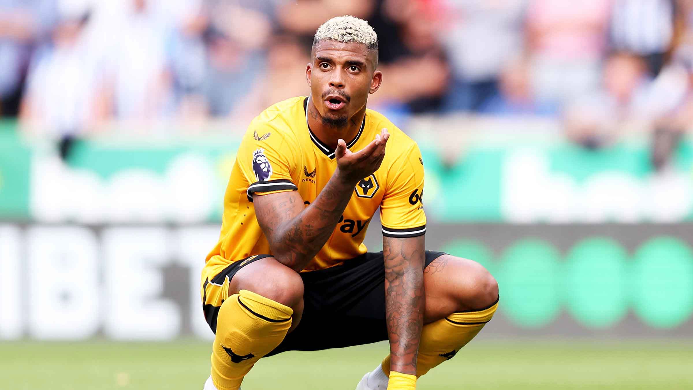Wolves Express | Looking forward to Liverpool - Vimarsana News